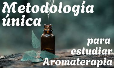 las 3 metodologías únicas y exclusivas de nuestra profesora de Aromaterapia Eva Ruth González Pipero con aceite esencial en la naturaleza